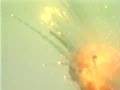 Ariane 5 Rocket Explosion