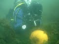 2008 Underwater Pumpkin Carving Contest