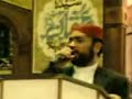 muhammad afzal noshahi- zulf e sarkar