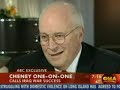 Cheney doesn't care 2/3 of America thinks the war is wrong