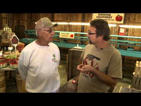 how to grow pumpkins in ky