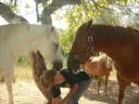 mon gros.wmv mon gros.wmv