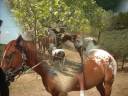 mon gros.wmv