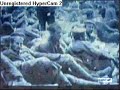 La chanson de craonne-1917 Manele-Gratis.net