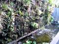 Brians Botanicals Living wall zone6