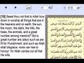 who live on the sun and moon and stars worship allah