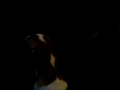 My dog Cucky howling, crying or singing... My dog Cucky howling, crying or singing...