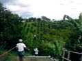 ligre volador