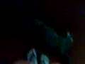 videos de reymann y sus weas