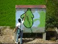 video graffiti queretaro 1