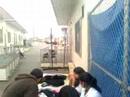 mchs