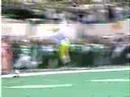 Charles Woodson Best Interception Ever
