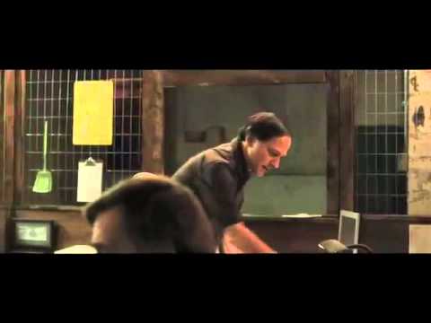 Dispatch (2011) DVDrip 350MB