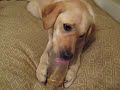 Riley & JIF