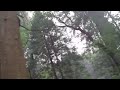 Yosemite Tour
