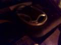 videos de Fiesta explotando kn 2 triaxiales nah mas !