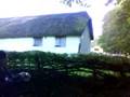 videos de Forest inside the Museum of Welsh Life