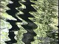 Ripples
