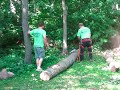 Clean Cut Tree Service