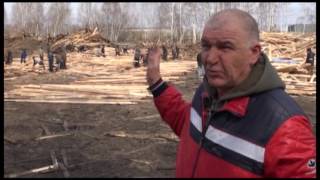 Группа компаний с головным предприятием «Лайм»  много лет развивает лесную промышленность в регионе