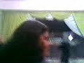 CRISTINA MEL E FERNANDINHA