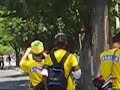 rebelion auriverde en sta marta