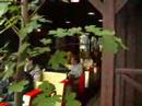 Hallo Elch Tour-Video 2008 (onride.de)