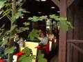 Hallo Elch Tour-Video 2008 (onride.de)