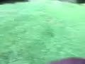 Idioten kämpfen