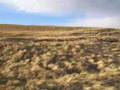 Head Smashed In Buffalo Jump