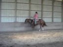 ******PLEASE READ BEFORE WATCHING VIDEO THANK YOUthis is me loping my 7 year old registered AQHA sorrel western pleasure mare, Daisy Mae Investment. i just started getting use to this mare and lately we have been working on the loping.she can go a lot slower and do a lot better but im only learning still and i wanted to try to do it by myself with out help of friends. i think i did a pretty good job.i dont need be to be critiqued i know how to ride and what i don't know people teach me. any comments i feel that aren't appropriate will be deletedand i want to thank a young man who has been helping me right long, he knows who he is :)