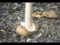 Pool contractor leaves customer high and dry Pool contractor leaves customer high and dry
