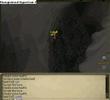 runescape
