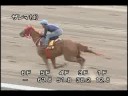 [調教] 080813 ザレマ 「クイーンステークス」前追い切り