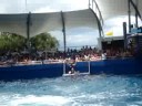 miami sea quarium