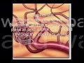 Circulatory System