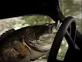 Rapala - \"Getaway\"