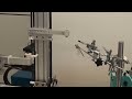 Click here to watch this video 3D Flying Prey Simulator Dragonfly Testing Random Bead Trajectory