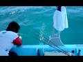 Sail Fishing 4