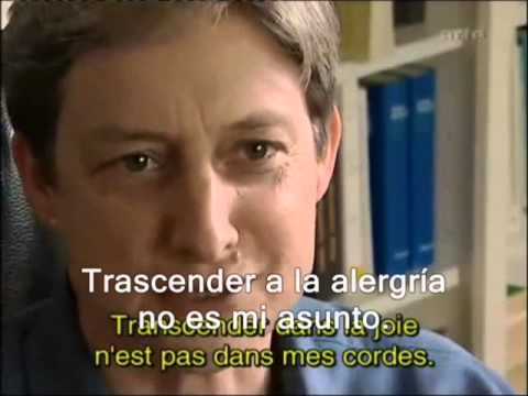 Imagen de previsualización de YouTube