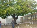 Snow in El Paso!!!!!