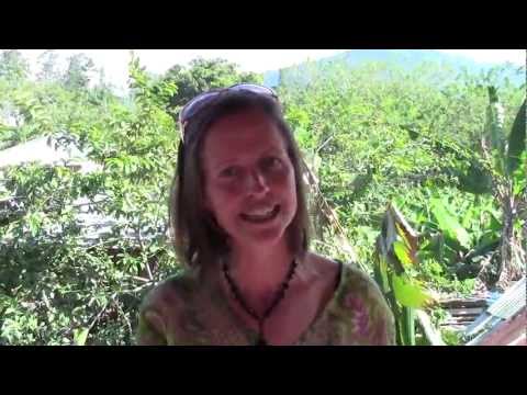 dvla car registrations dvla car registrations