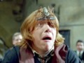 My HP Obsession