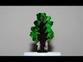 Magic Tree Timelapse