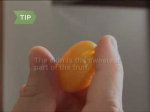 kumquat