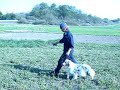 エイミー