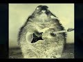behemoth   the nephilim rising  wersja alternatywna 
