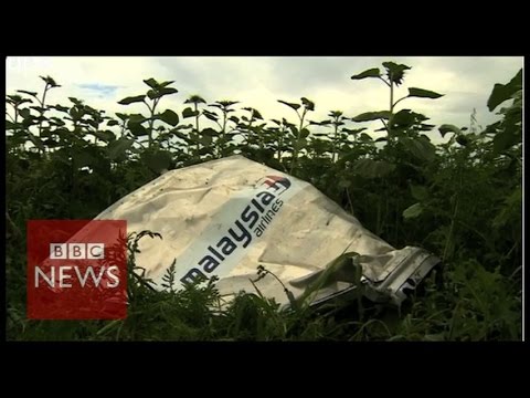 Bodies moved from Ukraine crash site - BBC News