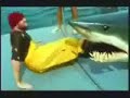 Incrível!!! Tubarão não aguenta a nhaca de pescador e vomita!!!