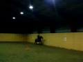 ridning 9.12